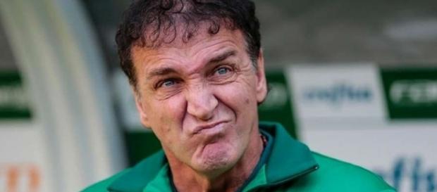 Treinador do Palmeiras pede um novo atacante Treinador do Palmeiras pede um novo atacante