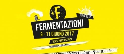 Fermentazioni 2017 - pintamedicea.com