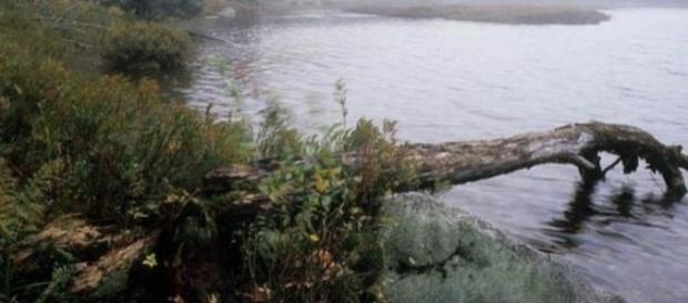 Glastenbury Mountain And The Bennington Triangle – Where Did All ... - metimeforthemind.com Glastenbury Mountain And The Bennington Triangle – Where Did All ... - metimeforthemind.com