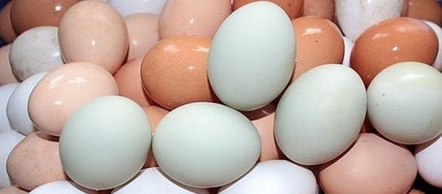 The differences between white and brown eggs - Photo: pixabay.com The differences between white and brown eggs - Photo: pixabay.com