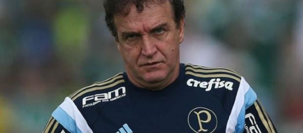Treinador do Palmeiras deve ficar preocupado. Treinador do Palmeiras deve ficar preocupado.
