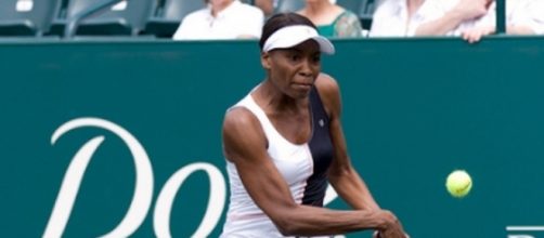 Venus Williams is at fault in the fatal crash that killed a 78-year-old man - Flickr/tlaenPix
