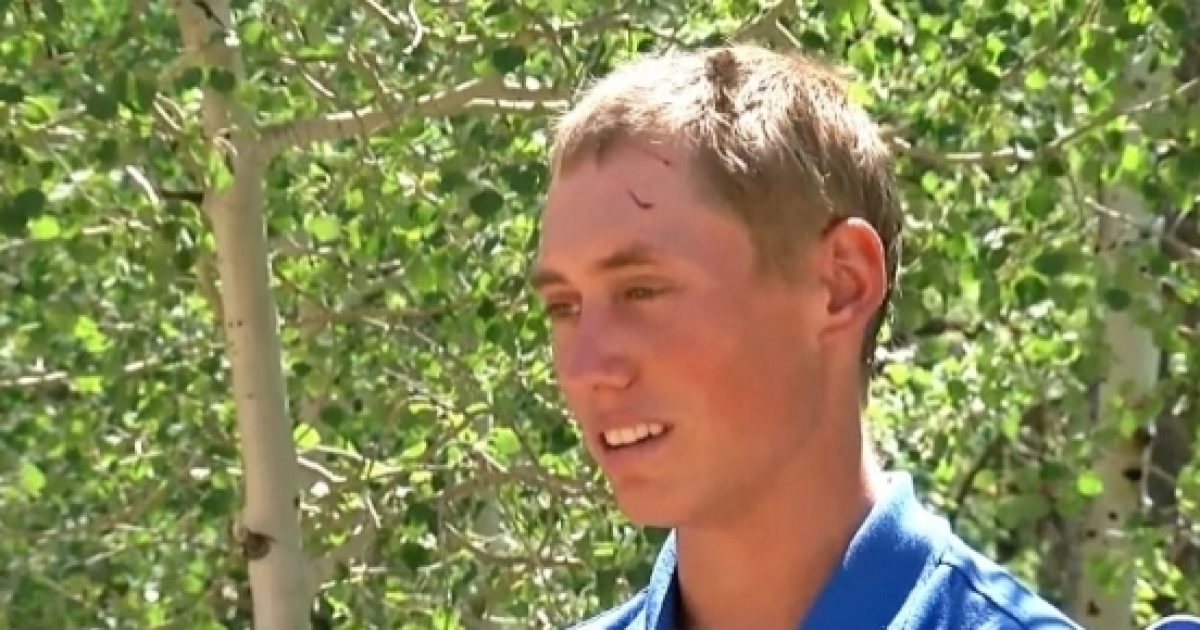 Teen camper wakes up to a crunching sound, finds his head in a bear’s mouth