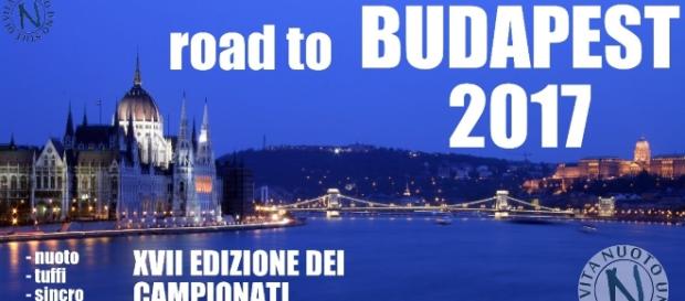 Mondiali di pallanuoto 2017 a Budapest: il programma e gli orari tv delle partite di Settebello e Setterosa Mondiali di pallanuoto 2017 a Budapest: il programma e gli orari tv delle partite di Settebello e Setterosa
