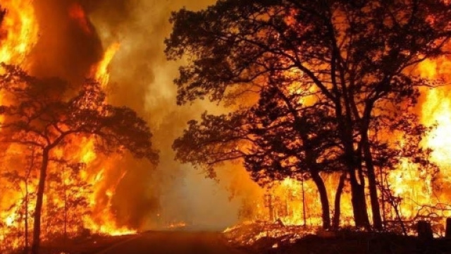 Incendi in Sicilia, è emergenza, roghi, fumo e tamponamenti