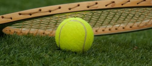 grass tennis court - Photo: Max Pixel (Pentax K10d)