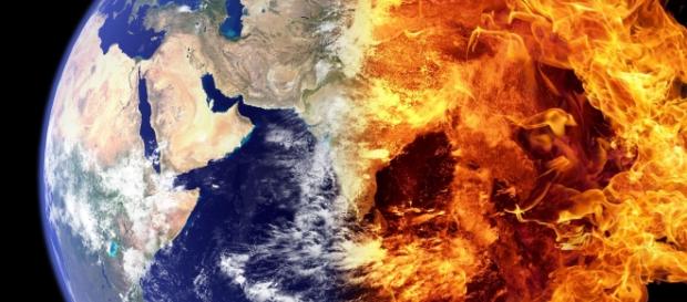 A new study suggests that the declining number of species is the sign of the 6th mass extinction on the planet. Image source: Pixabay A new study suggests that the declining number of species is the sign of the 6th mass extinction on the planet. Image source: Pixabay