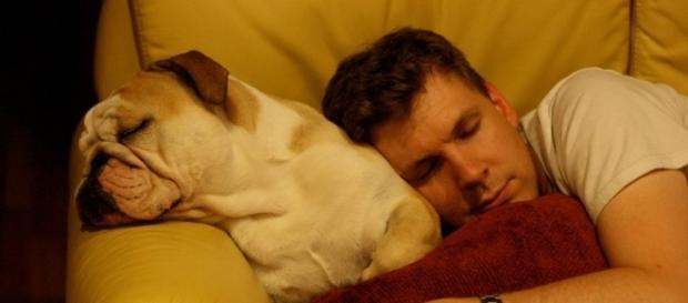 AI technology in devices is helpful in letting people sleep better/Photo via Andrew Roberts, Flickr AI technology in devices is helpful in letting people sleep better/Photo via Andrew Roberts, Flickr