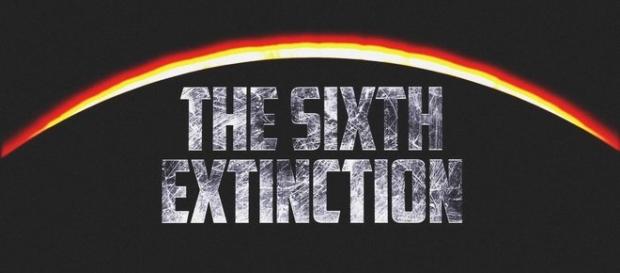 Cientistas dizem que o mundo já está vivendo a sexta extinção em massa Cientistas dizem que o mundo já está vivendo a sexta extinção em massa