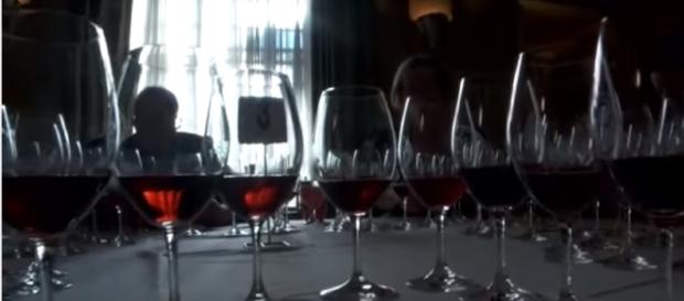"Pinot Noir" The Holy Grail of Wine Image - HolyGrailOfWine | YouTube "Pinot Noir" The Holy Grail of Wine Image - HolyGrailOfWine | YouTube
