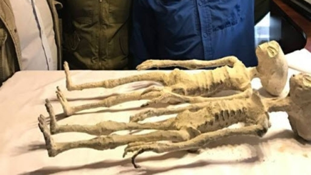 Alcuni esemplari delle repsunte mummie aliene