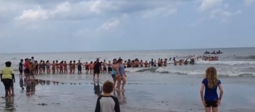 Dozens of strangers form human chain to rescue swimmers at Florida beach (Image Credit: The Last News/Youtube)