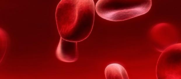 Cnr. Nuova tecnica rivela che i globuli rossi sono lenti di ... - notiziefree.it Cnr. Nuova tecnica rivela che i globuli rossi sono lenti di ... - notiziefree.it