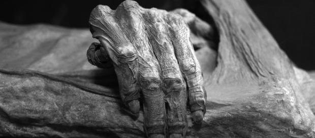 Detail of the Guanajuato mummies, Mexico. Photo taken at Museo de las Momias de Guanajuato by author Tomas Castelazo via Wikimedia Commons Detail of the Guanajuato mummies, Mexico. Photo taken at Museo de las Momias de Guanajuato by author Tomas Castelazo via Wikimedia Commons