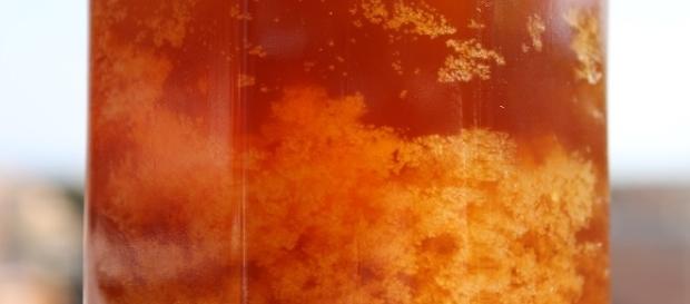 Misteri: la mellificazione umana tra leggenda e realtà Misteri: la mellificazione umana tra leggenda e realtà