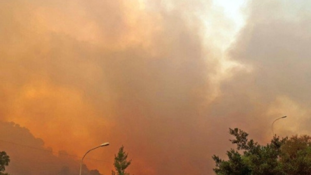 I devastanti incendi che nei giorni scorsi hanno avvolto le colline di Messina