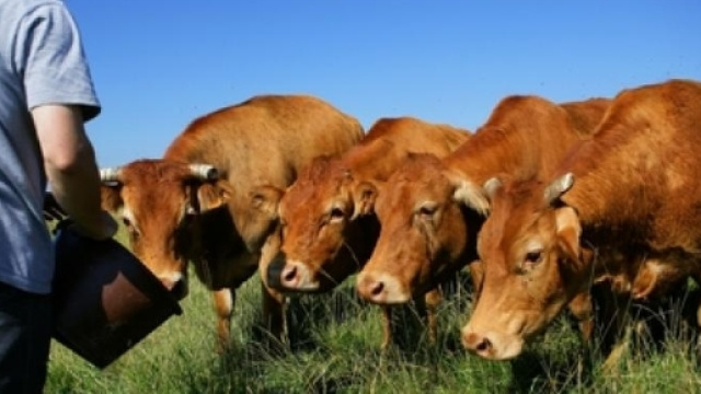Le travail des agriculteur et la pénibilité