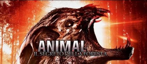 Animal - Il segreto della foresta in Streaming - infinitytv.it