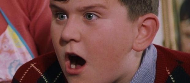 Dudley, el primo muggle de Harry Potter Dudley, el primo muggle de Harry Potter