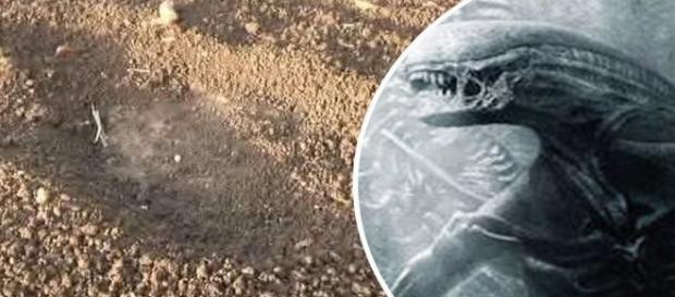 Indianos juram observar alienígena de 12 metros de altura Indianos juram observar alienígena de 12 metros de altura