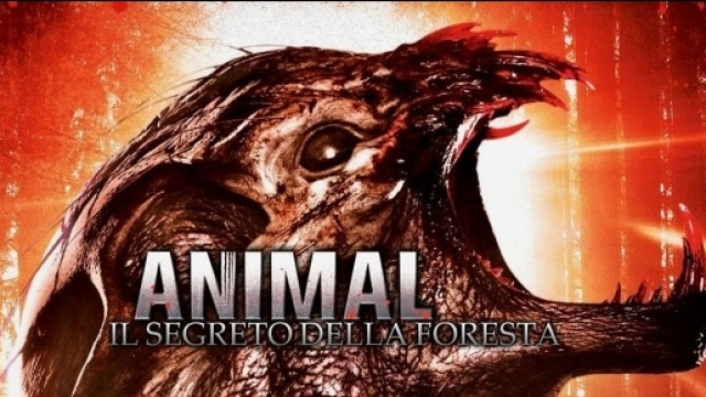 Animal - Il segreto della foresta in Streaming - infinitytv.it