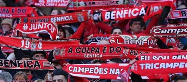 O Benfica disputa o seu 2.º jogo de pré-temporada frente ao Young Boys O Benfica disputa o seu 2.º jogo de pré-temporada frente ao Young Boys
