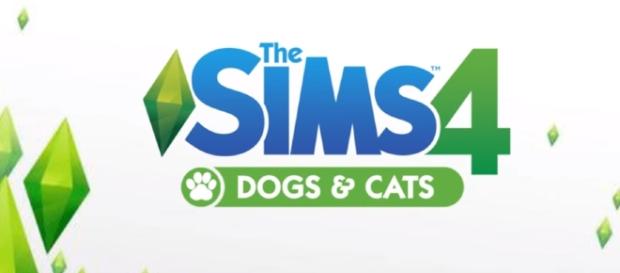 The next teaser is coming shortly for 'The Sims 4' and fans are excited to hear about Pets or Seasons DLC. SimmerJonny/YouTube The next teaser is coming shortly for 'The Sims 4' and fans are excited to hear about Pets or Seasons DLC. SimmerJonny/YouTube
