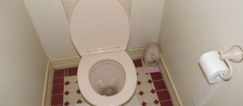 Toilets may be less sanitary than showers [Matthew Paul Argall/WikiMedia Commons]