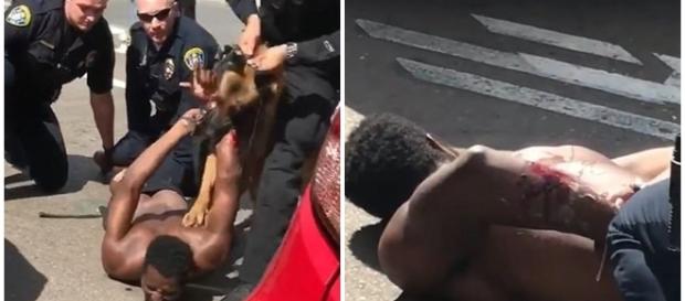 Homem é atacado por cachorro policial já algemado Homem é atacado por cachorro policial já algemado