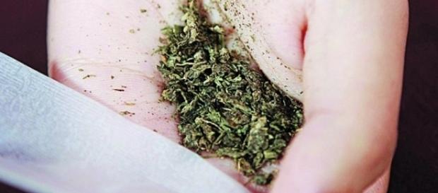 Usuário liga para polícia para fazer reclamação de traficante que lhe vendeu maconha estragada (Foto: reprodução/internet) Usuário liga para polícia para fazer reclamação de traficante que lhe vendeu maconha estragada (Foto: reprodução/internet)