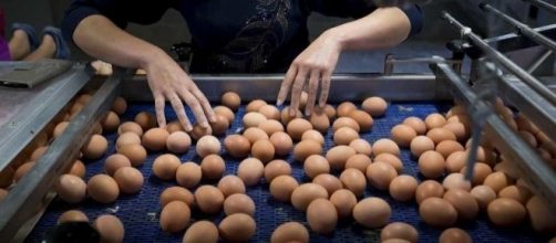Prodotti alimentari sottoposti a controlli in Emilia