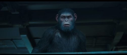 War for the Planet of the Apes | Final Trailer | 20th Century FOX via YouTube/20th Century Fox