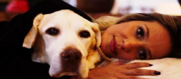 Luisa Mell perde amigo cão - Google Luisa Mell perde amigo cão - Google