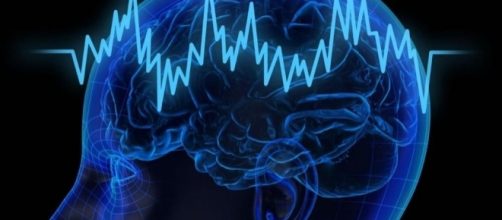Il cervello di fronte ai pericoli spesso reagisce con decisioni autodistruttive