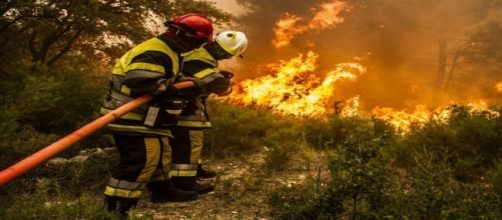 Les sapeurs-pompiers en lutte à Saint-Cannat (13)