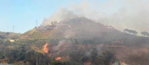 Nuovo incendio sulla collina degli Astroni-foto mia