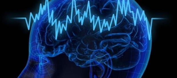 Il cervello di fronte ai pericoli spesso reagisce con decisioni autodistruttive Il cervello di fronte ai pericoli spesso reagisce con decisioni autodistruttive