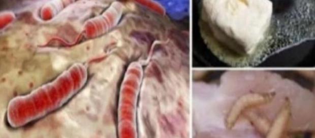 Médicos avisam o que não pode ser comido - Google Médicos avisam o que não pode ser comido - Google