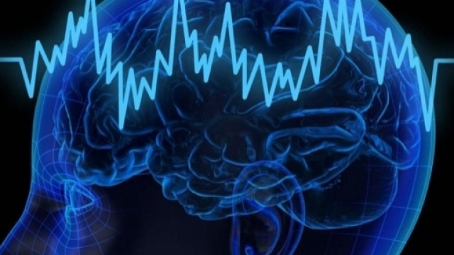 Il cervello di fronte ai pericoli spesso reagisce con decisioni autodistruttive