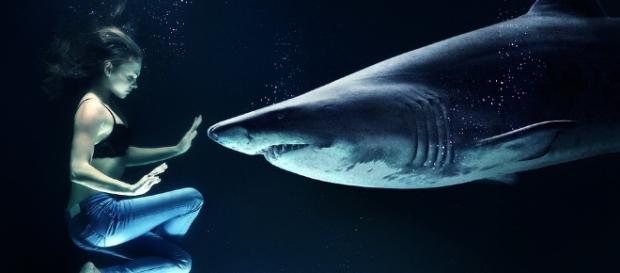 A manipulated image illustrating how fish and human can co-exist.- 5arah via Pixabay A manipulated image illustrating how fish and human can co-exist.- 5arah via Pixabay