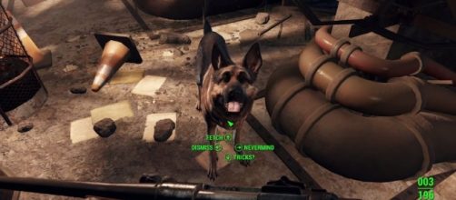 Dogmeat is one of the many companions in 'Fallout 4' (image source: YouTube/JV2017gameplay)
