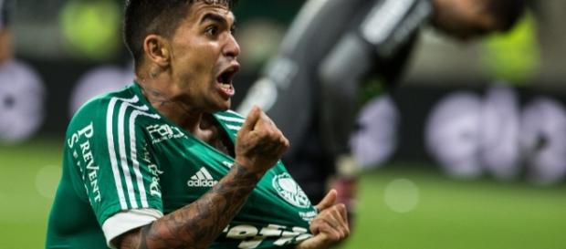 Dudu, atacante titular do Palmeiras. ( Foto: Google) Dudu, atacante titular do Palmeiras. ( Foto: Google)