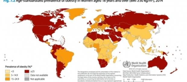 Uno studio della Stanford University ha determinato i paesi più obesi del mondo Uno studio della Stanford University ha determinato i paesi più obesi del mondo