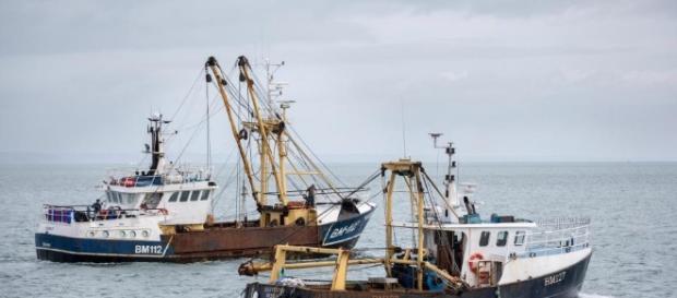 Britain to withdraw from fishing deal so that France, Belgium ... - thesun.co.uk Britain to withdraw from fishing deal so that France, Belgium ... - thesun.co.uk