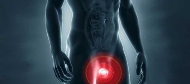 É nos testículos que o homem possui maior quantidade de proteína em seu corpo É nos testículos que o homem possui maior quantidade de proteína em seu corpo