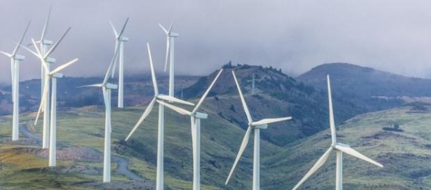 Fontes renováveis vão liderar o crescimento energético Fontes renováveis vão liderar o crescimento energético