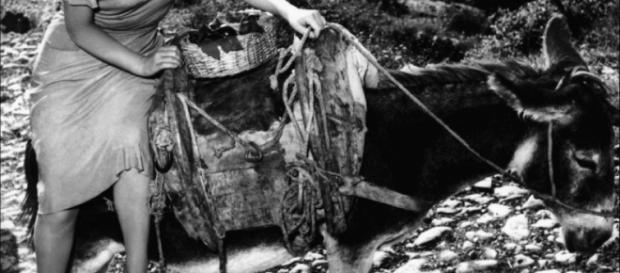 Gina Lollobrigida, la "Bersagliera", compie 90 anni ma lei non avverte il peso degli anni ed è pronta ad affrontare nuove battaglie giudiziarie. Gina Lollobrigida, la "Bersagliera", compie 90 anni ma lei non avverte il peso degli anni ed è pronta ad affrontare nuove battaglie giudiziarie.