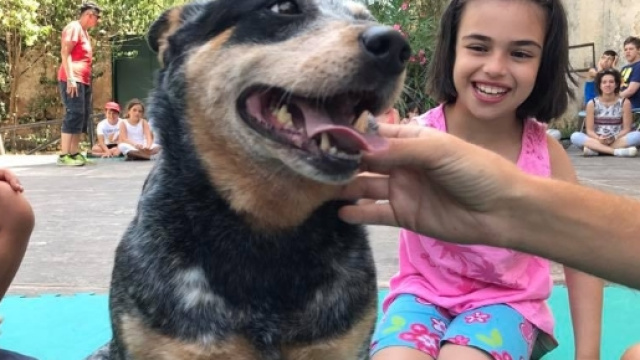 La dolcissima cagnolina Sky con i bimbi