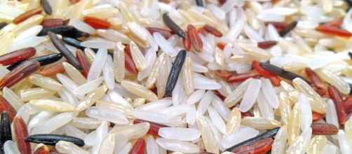 File:White, Brown, Red & Wild rice.jpg - Wikimedia Commons