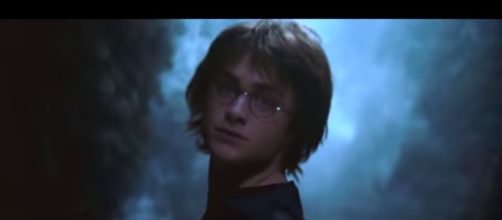 Harry Potter 20th Anniversary Symphony - Pteryx Video/YouTube